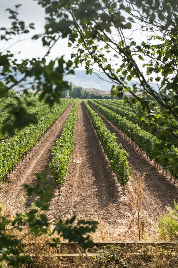 Wineries Palm Springs International Food and Wine Festival