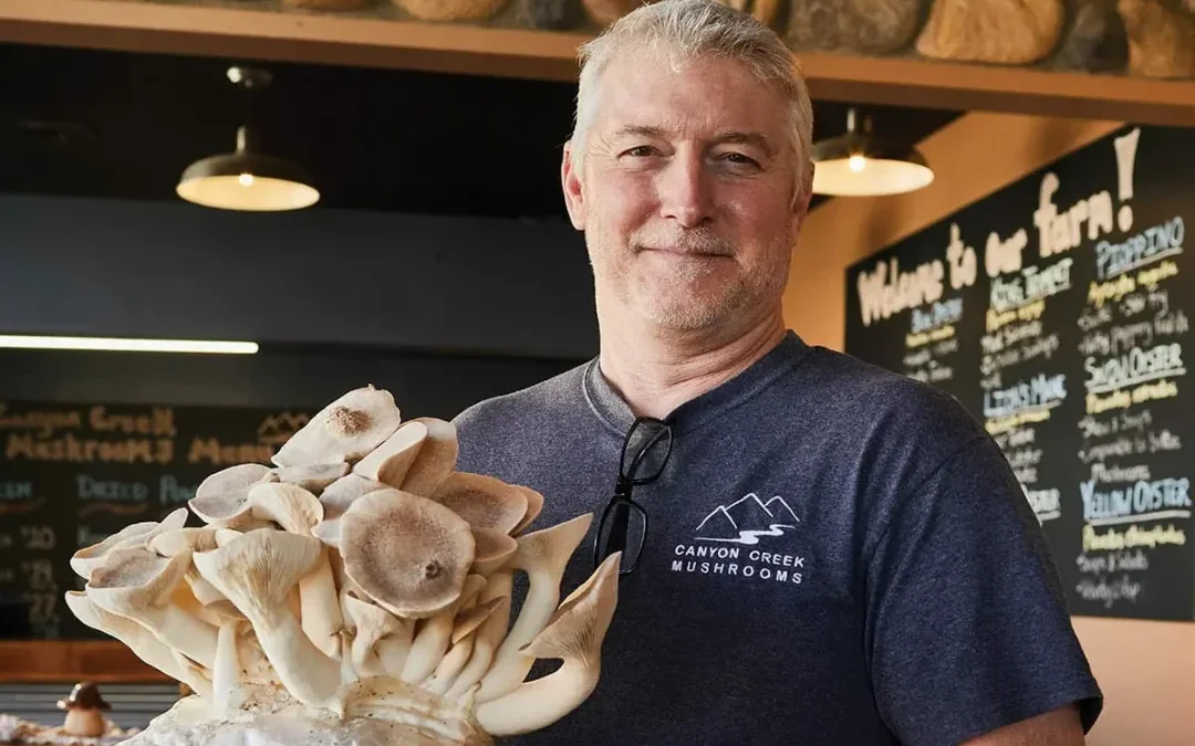 Canyon Creek Mushrooms: Bringing Gourmet Fungi to the Desert