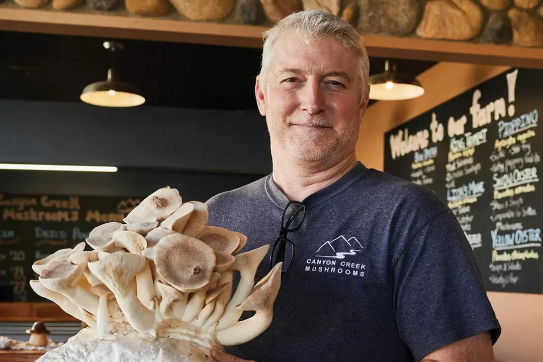 Canyon Creek Mushrooms.