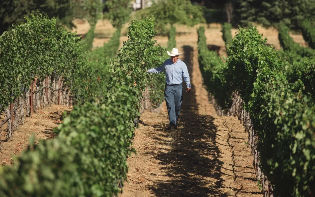 Hestan Vineyards Elevates Palm Springs Festival