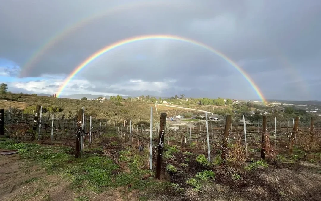 Temecula Treasure Morel Vin Gears Up for Palm Springs Food & Wine Festival