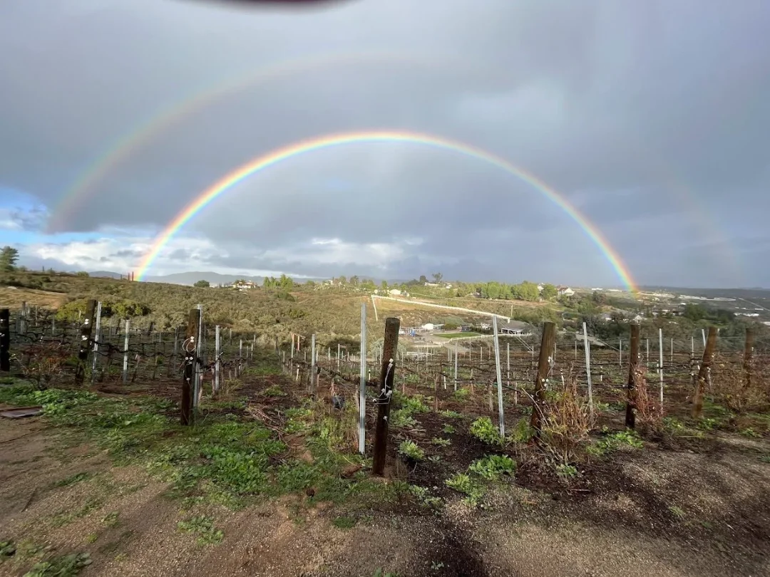 moral vin Morel Vin.