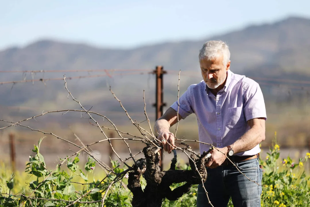 Robert Biale Vineyards.